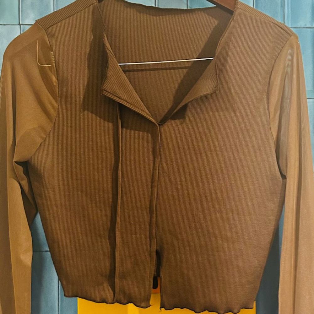 Stretch Knit Brown Crop Top with Sheer Trumpet Sleeves & Front Detail